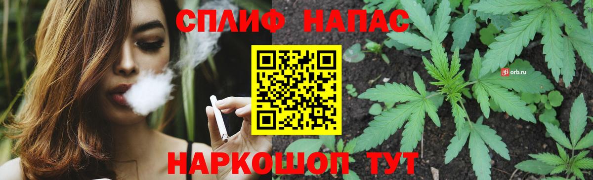 Астрахань  Марихуана Bruce Banner  Вход с VPN  Конопля Amnesia  Каннабис тримм 